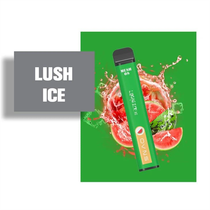 2500 Puff 5 persen NIC 2 persen NICOTINE Disposable Vape Ecigs