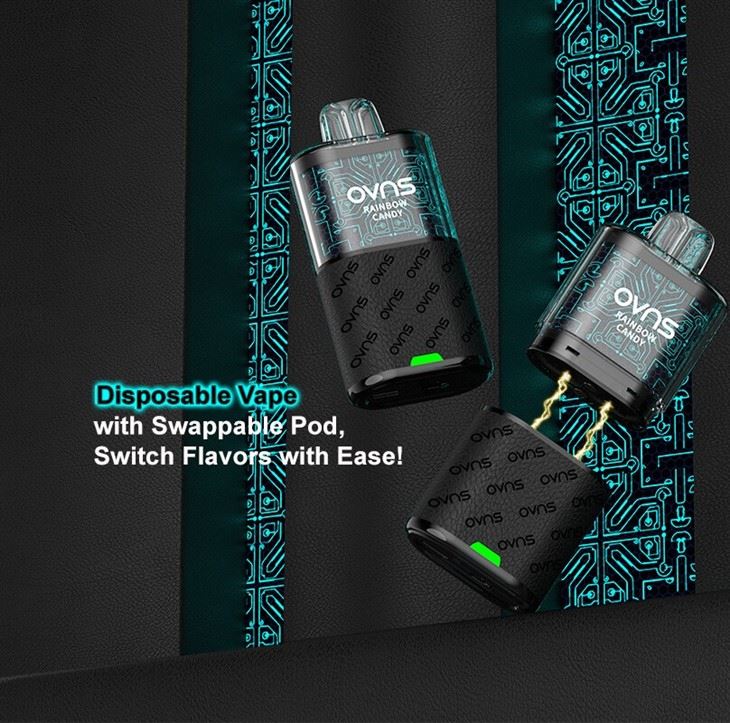Replaceable Mesh12 X Refilled Pod Vape Kits