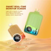 Model Puffs 8000/16000